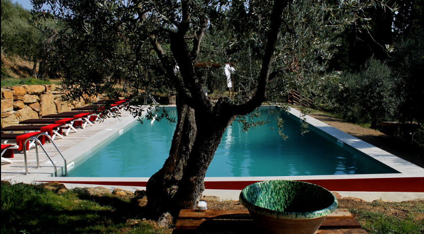 Photo of Tuscan Olives & Cypresses