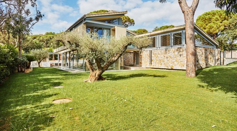 Photo of Saint Sunshine