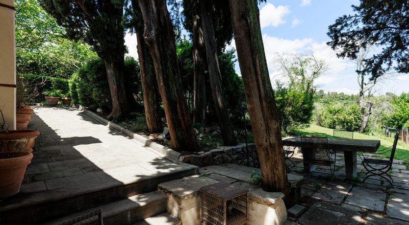 Photo of Harvest & Field