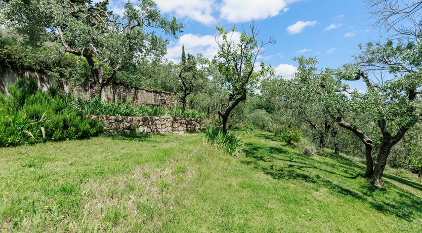 Photo of Harvest & Field