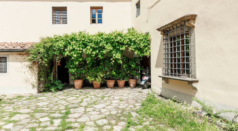 Photo of Harvest & Field