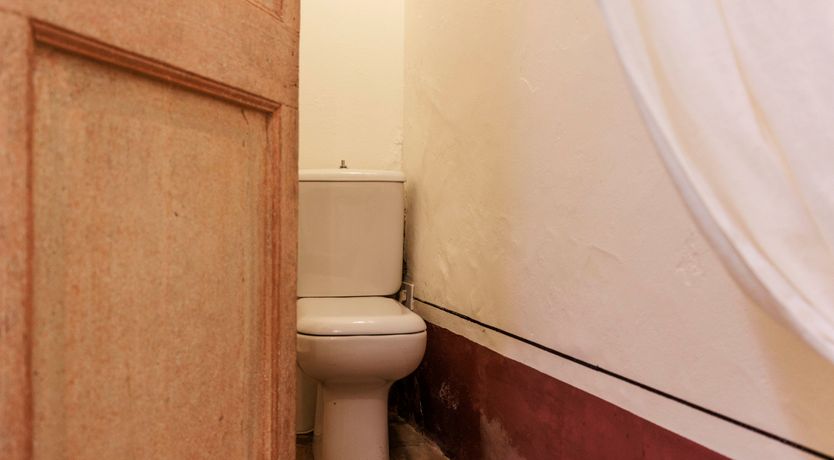 Photo of Harvest & Field