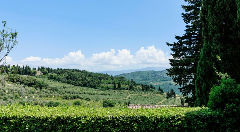 Photo of Harvest & Field