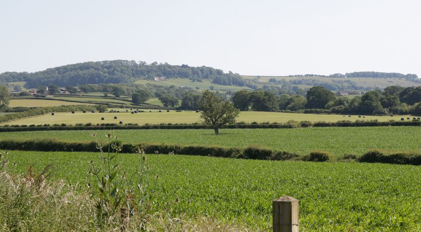 Photo of Hardy Stable