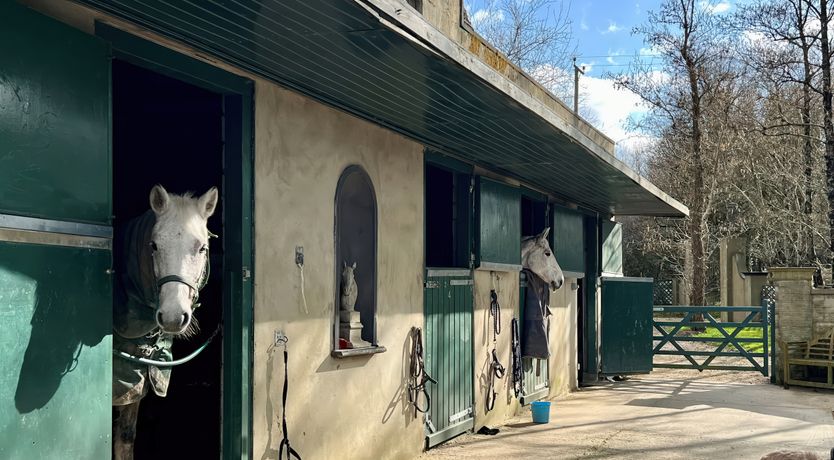 Photo of Hardy Stable