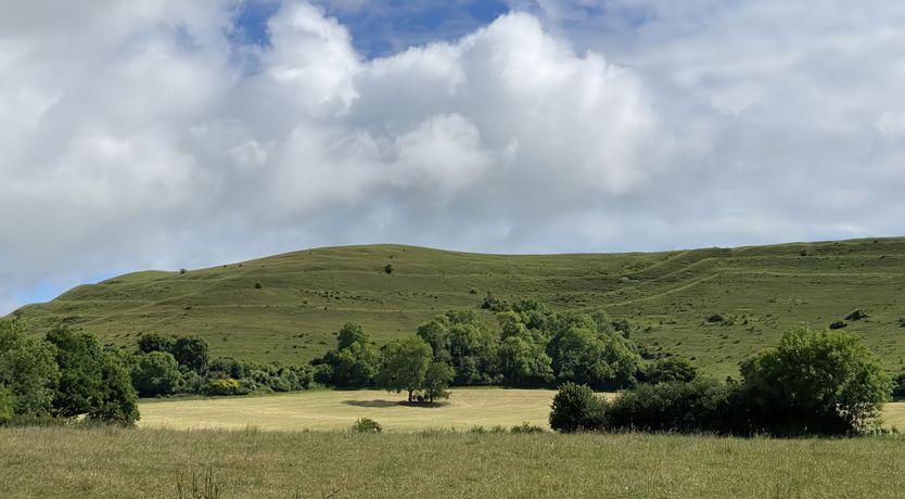 Photo of Hardy Stable
