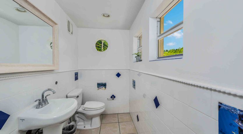 Photo of Mango Grove