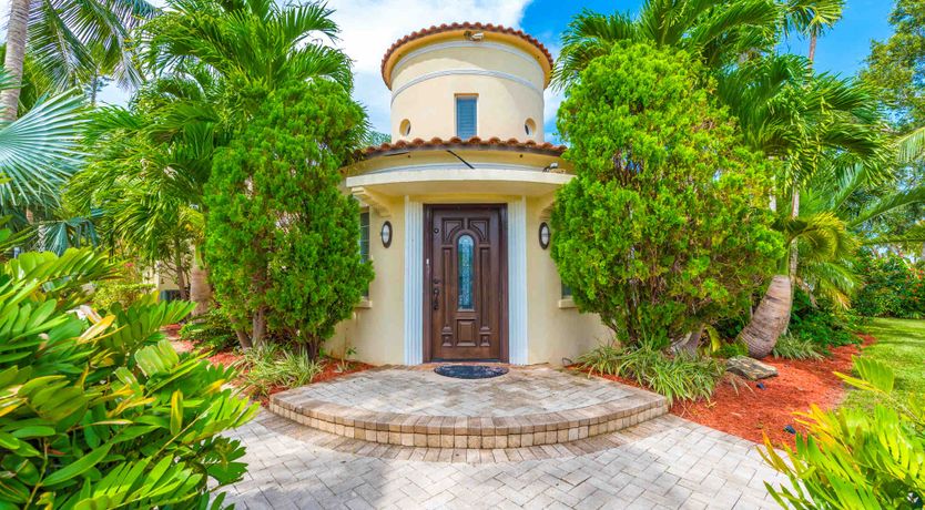 Photo of Mango Grove