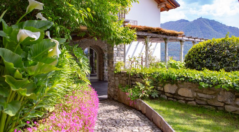 Photo of Dappled Blue