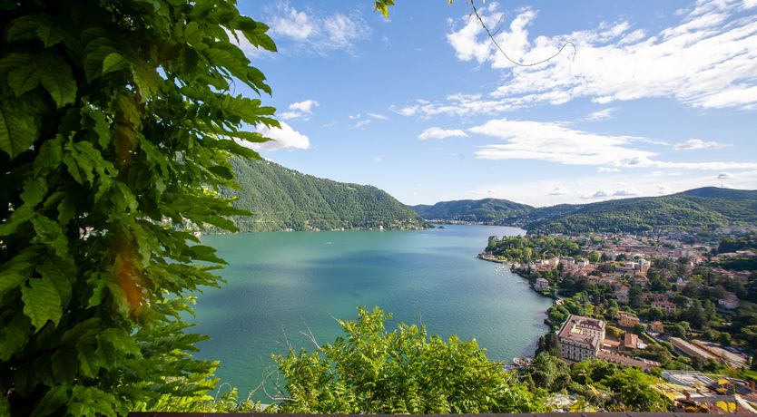 Photo of Dappled Blue