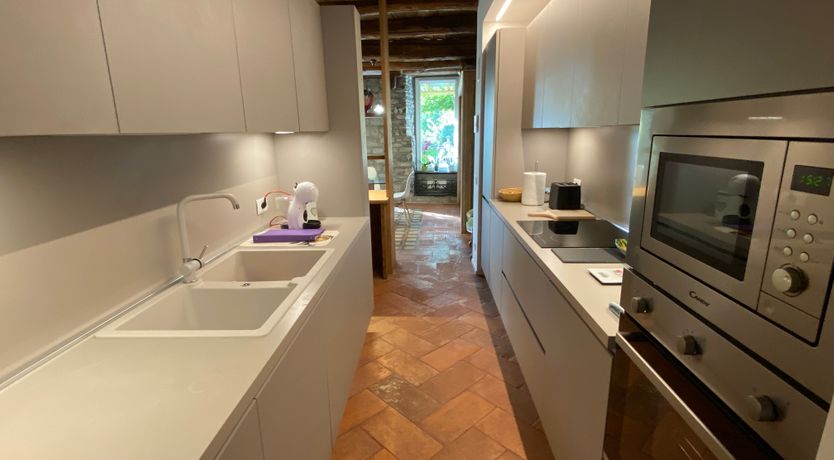 Photo of Dappled Blue