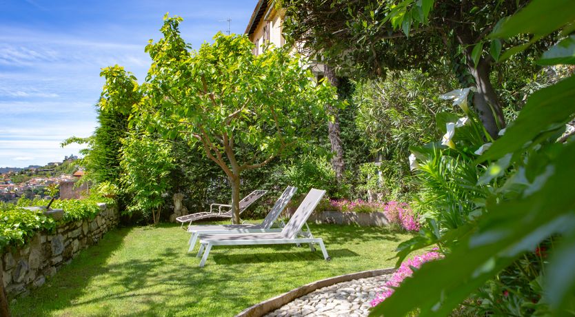 Photo of Dappled Blue