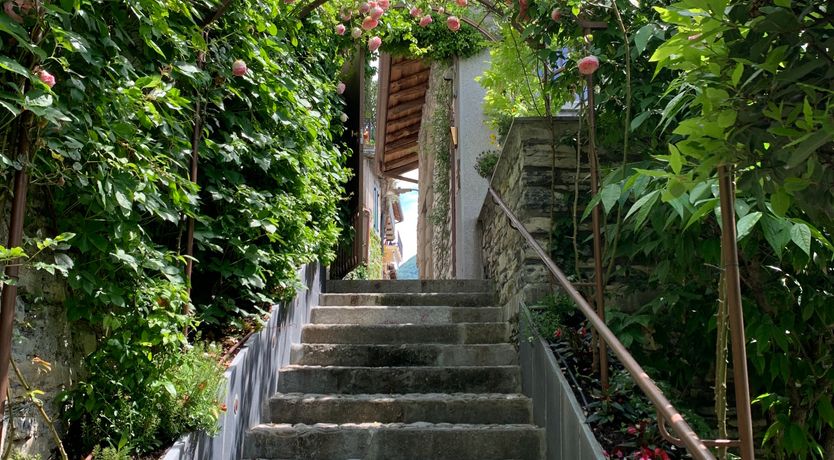 Photo of Dappled Blue