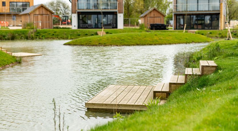 Photo of Red Robin Nest