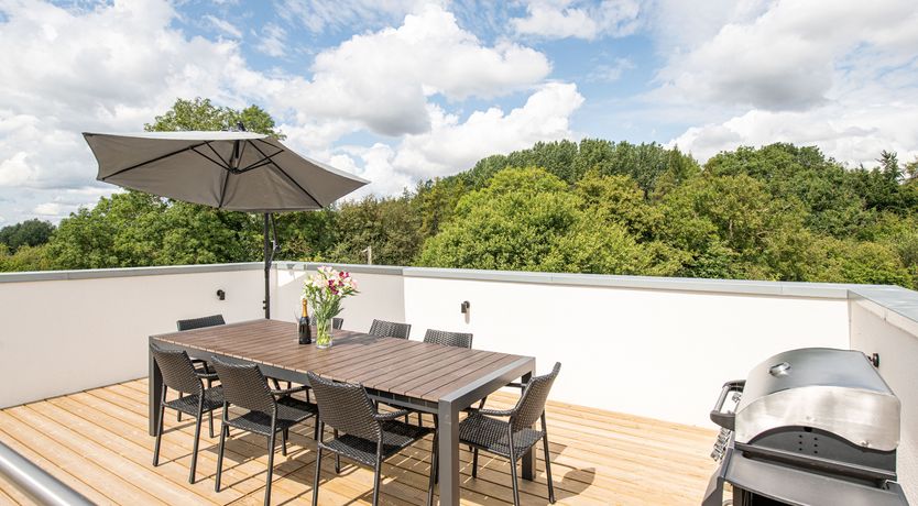 Photo of Red Robin Nest