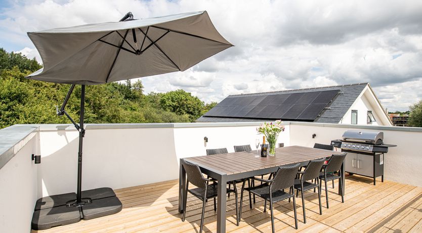 Photo of Red Robin Nest