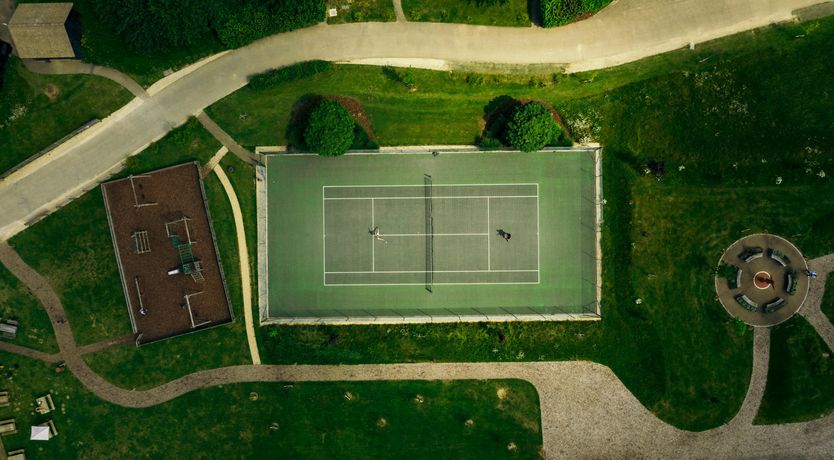 Photo of Red Robin Nest