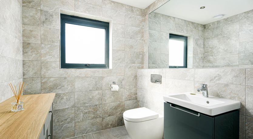 Photo of Red Robin Nest