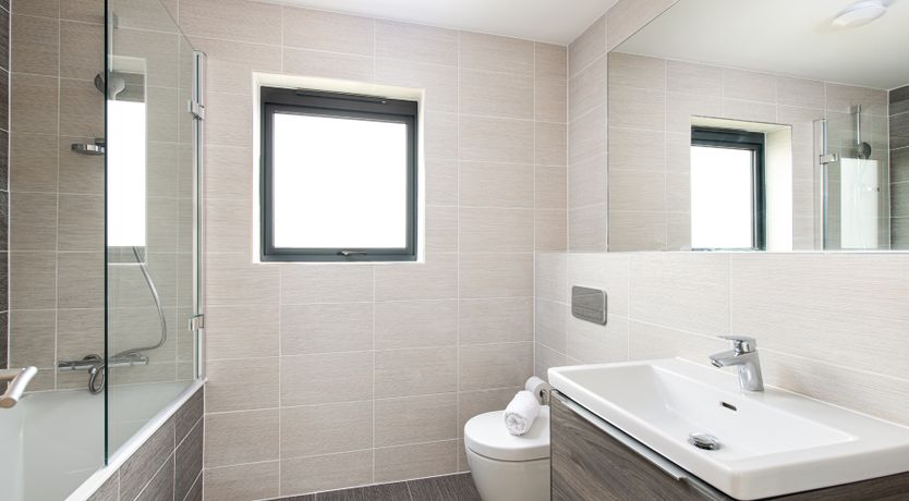 Photo of Song of the Lake