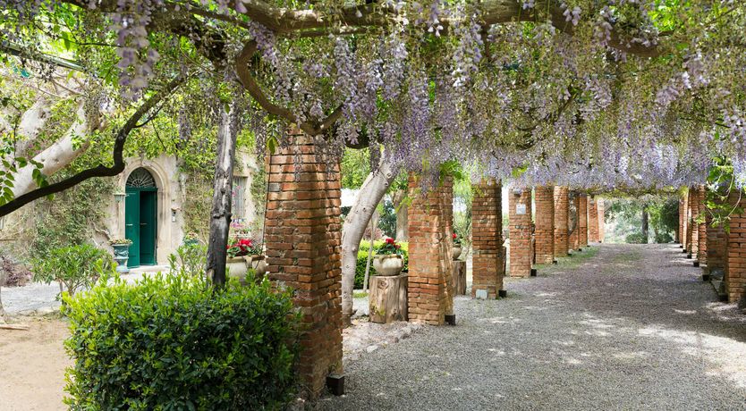 Photo of The Aeolian Song