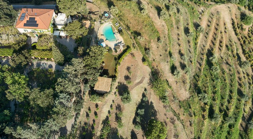 Photo of The Aeolian Song