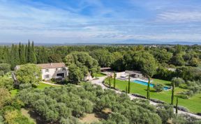 Photo of Lavender & Alpilles