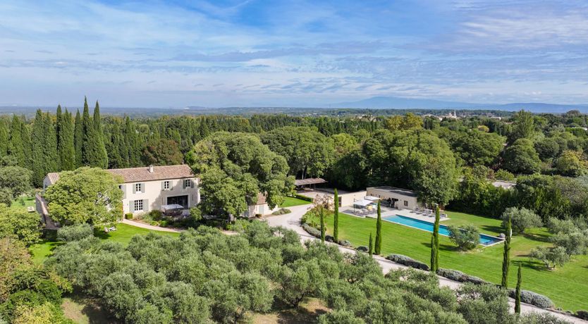 Photo of Lavender & Alpilles