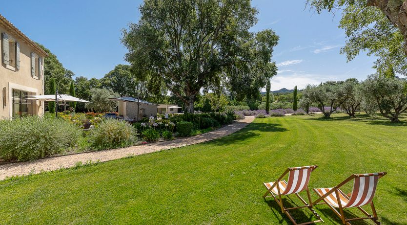 Photo of Lavender & Alpilles