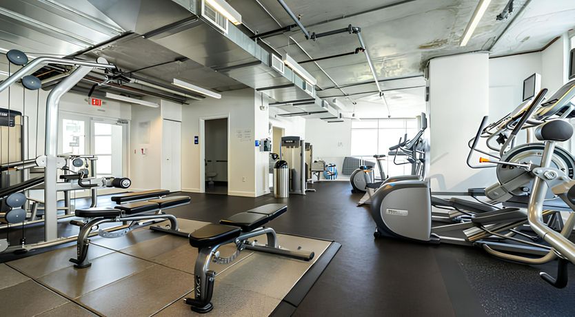 Photo of The Miami Vibe