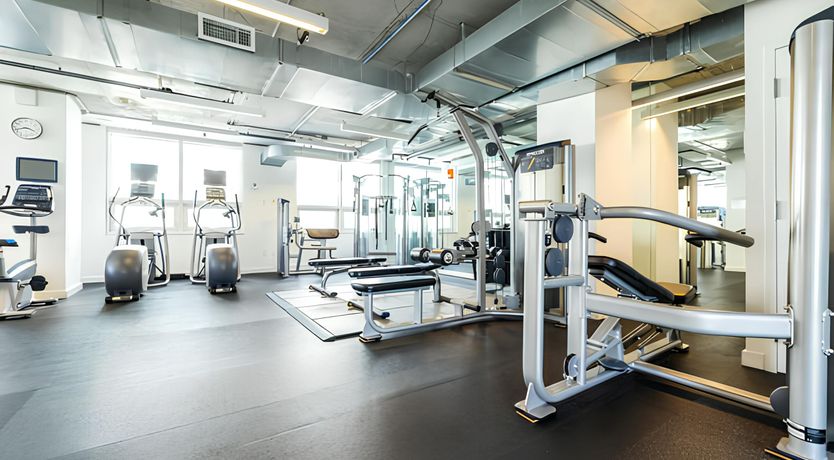 Photo of The Miami Vibe