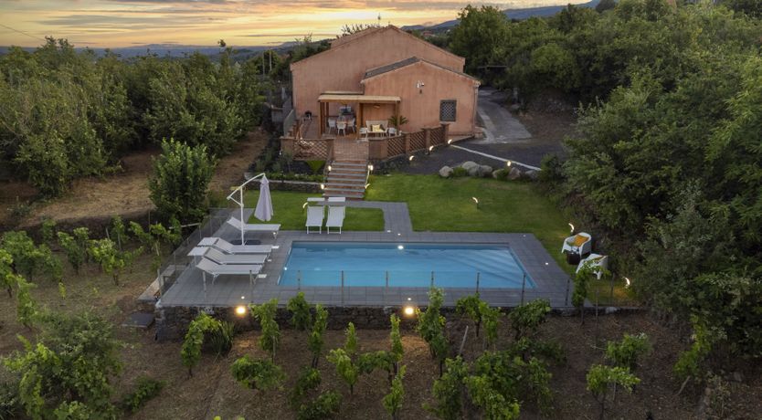 Photo of Etna Vineyard