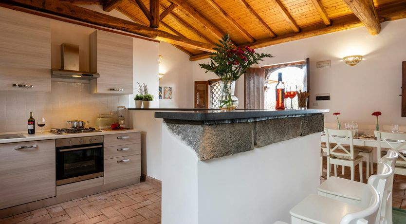 Photo of Etna Vineyard