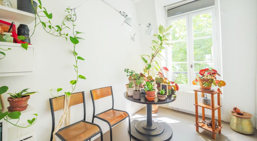 Photo of Under the Parisian Sky