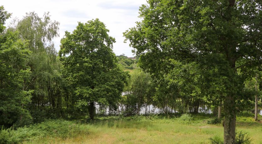 Photo of A Cosy Cottage