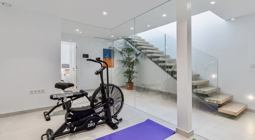 Photo of The Gold Horizon