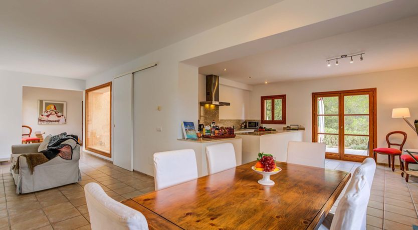 Photo of Wild Blue Iris