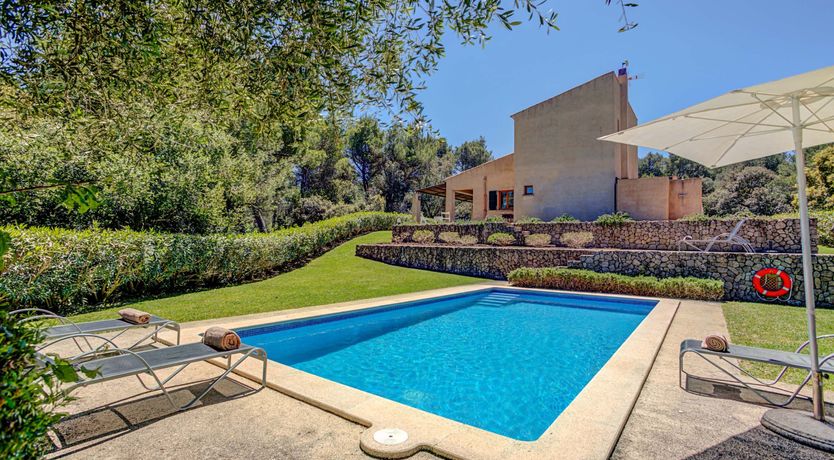 Photo of Wild Blue Iris