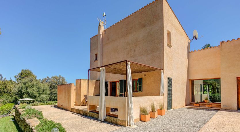 Photo of Wild Blue Iris