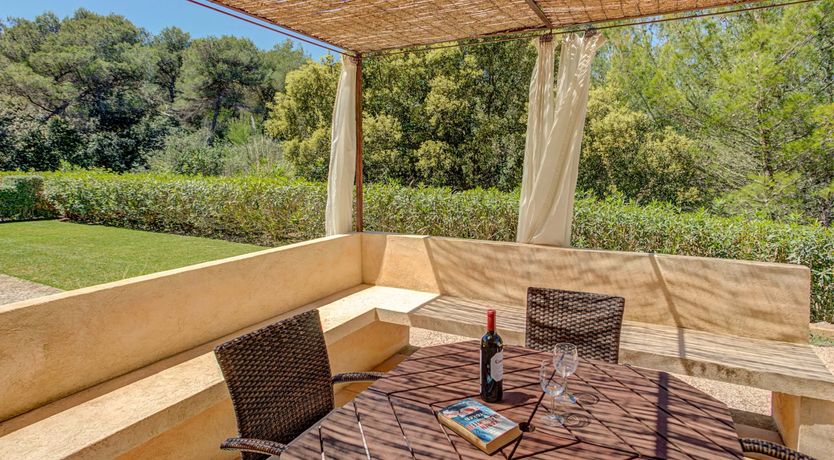 Photo of Wild Blue Iris