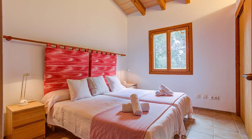 Photo of Wild Blue Iris