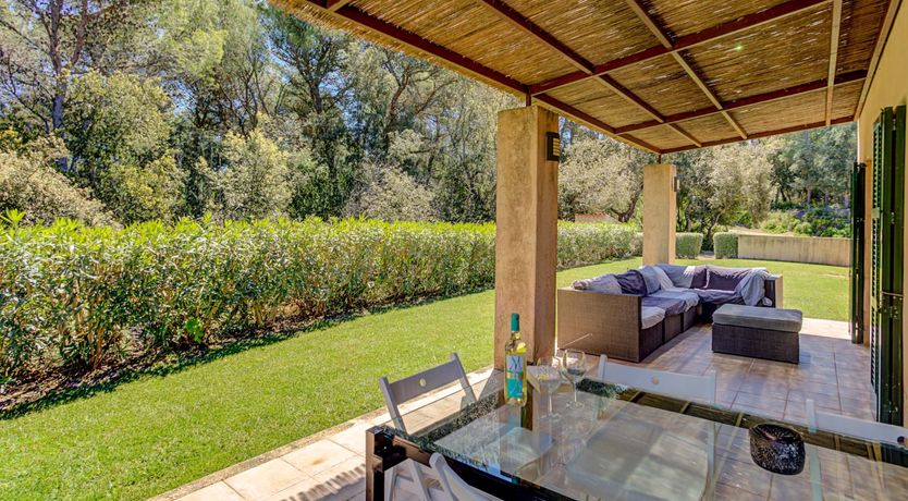 Photo of Wild Blue Iris