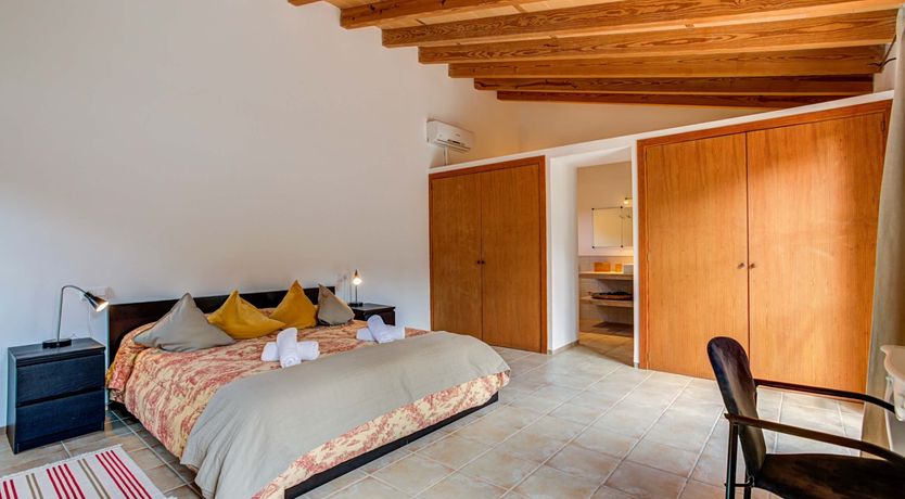 Photo of Wild Blue Iris