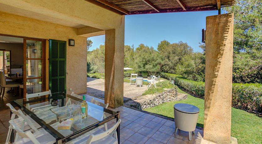 Photo of Wild Blue Iris