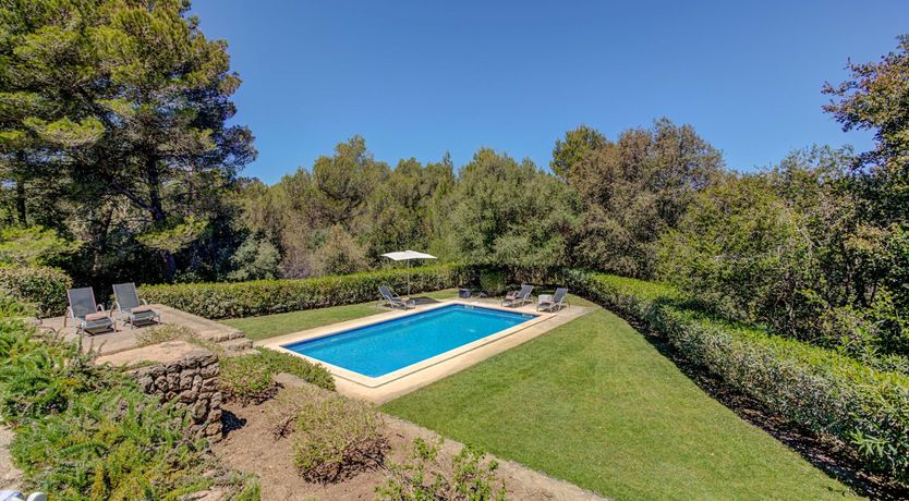 Photo of Wild Blue Iris