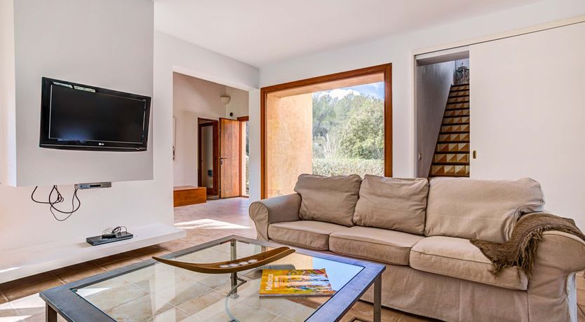 Photo of Wild Blue Iris