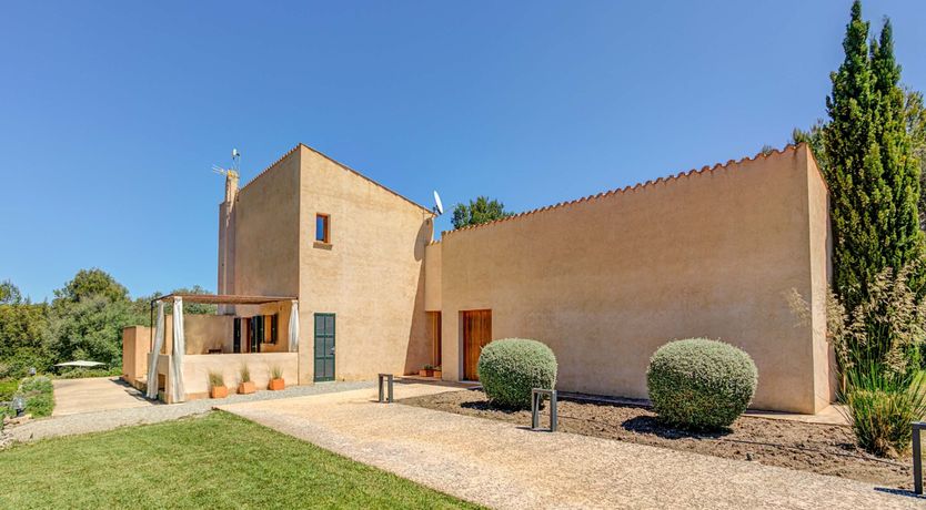 Photo of Wild Blue Iris