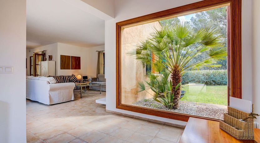 Photo of Wild Blue Iris