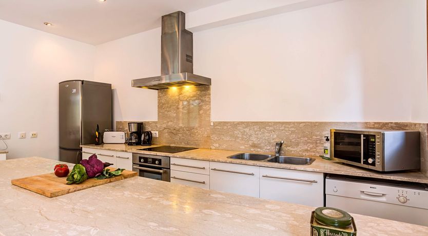 Photo of Wild Blue Iris