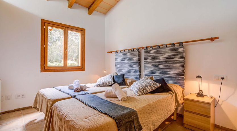 Photo of Wild Blue Iris