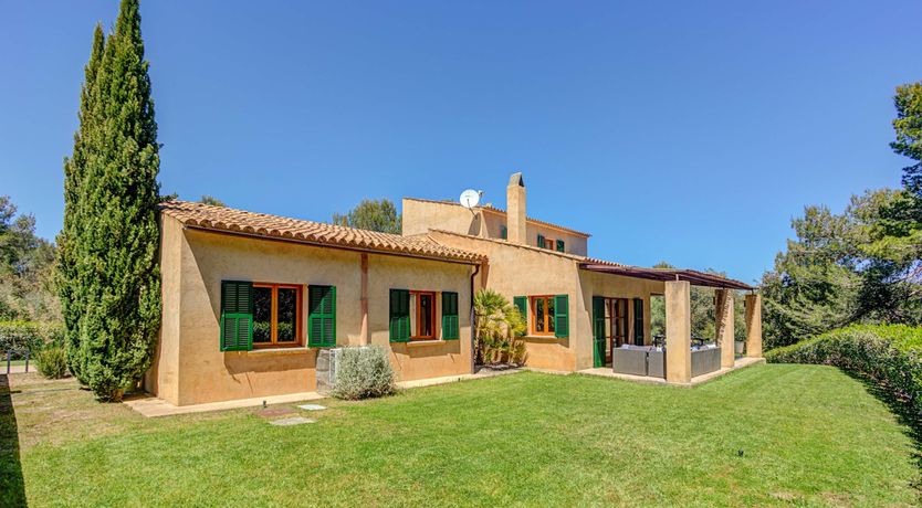 Photo of Wild Blue Iris